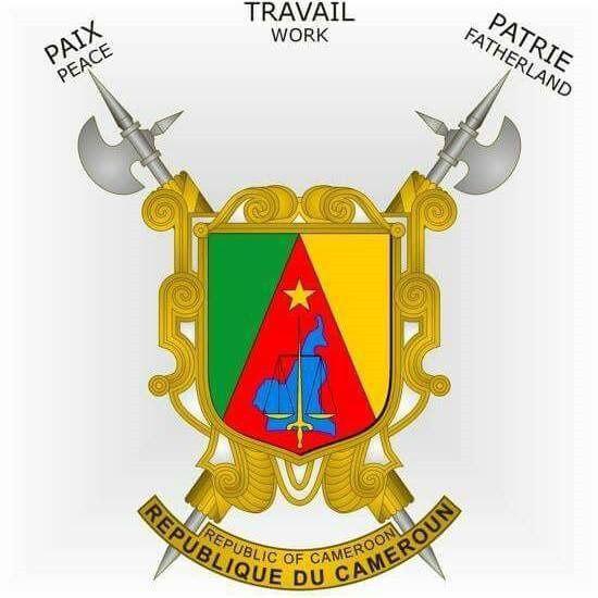 photo_2024-11-06_08-40-10 drapeau du cameroun